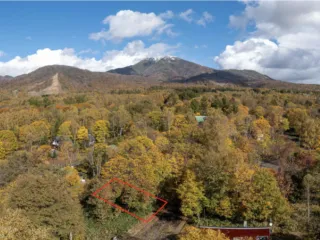 Screenshot 2024-07-05 at 12.50.30 PM