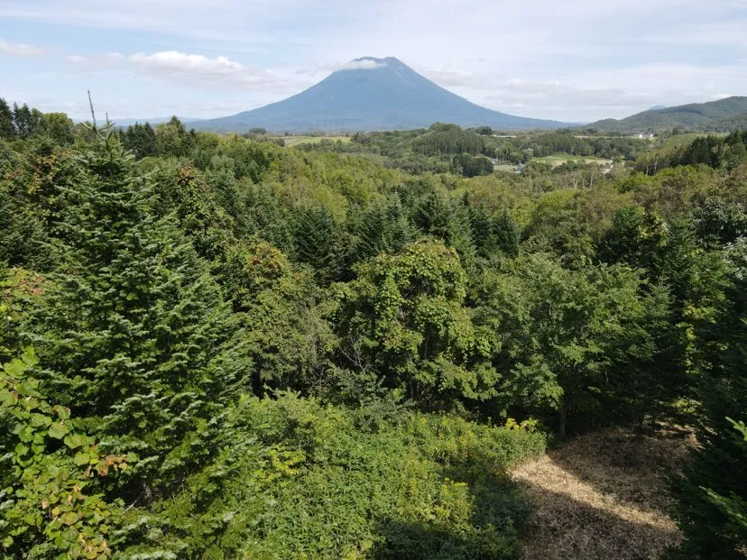 377294486_1578484769558642_3556070893748100447_n