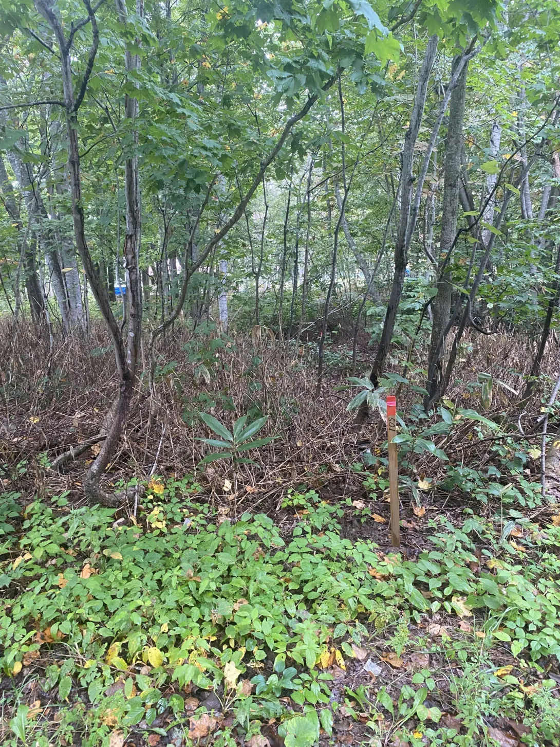 458560775_1040661350610280_2729119688958198225_n